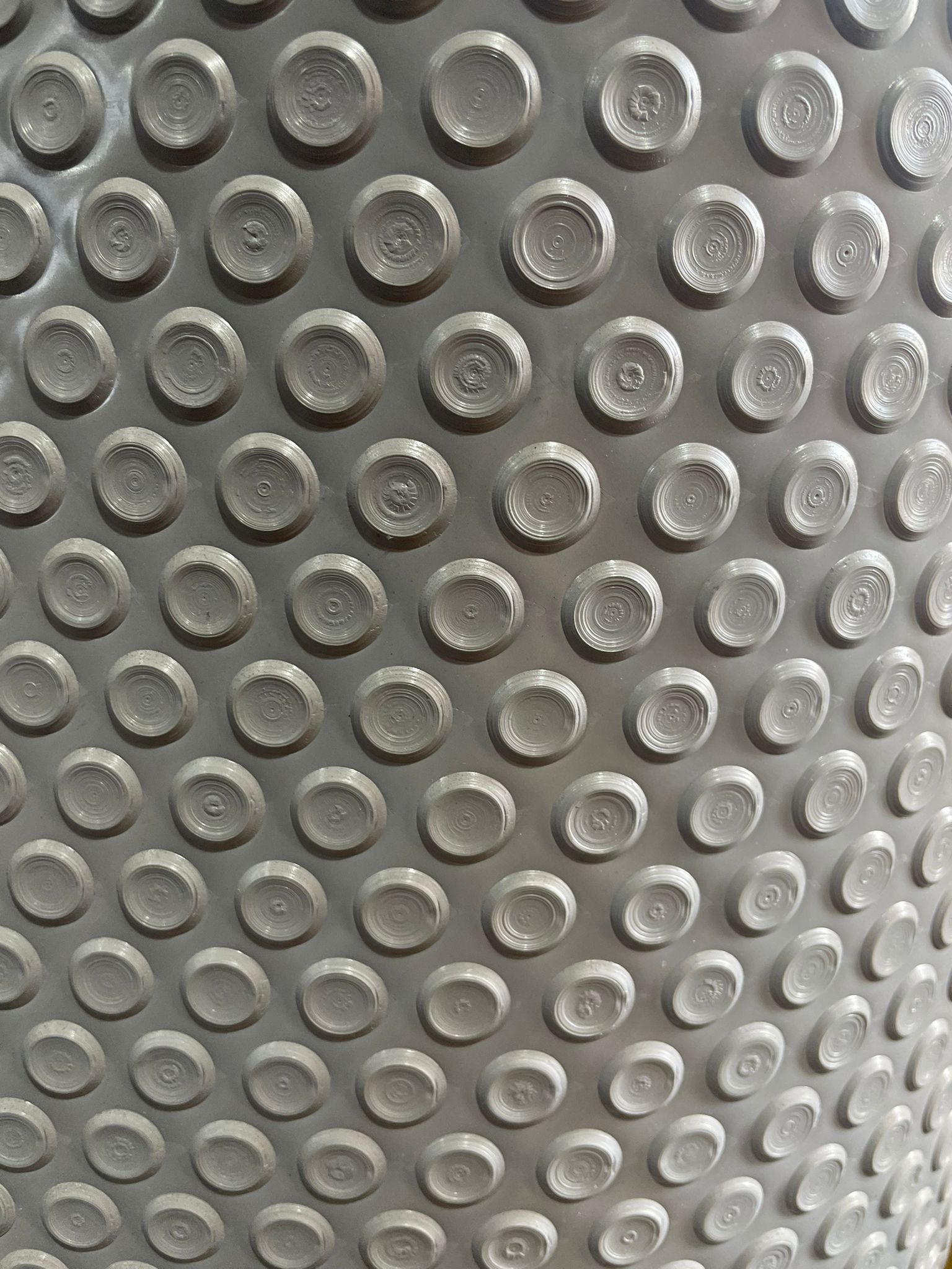 השכבה החיצונית צבע אפור